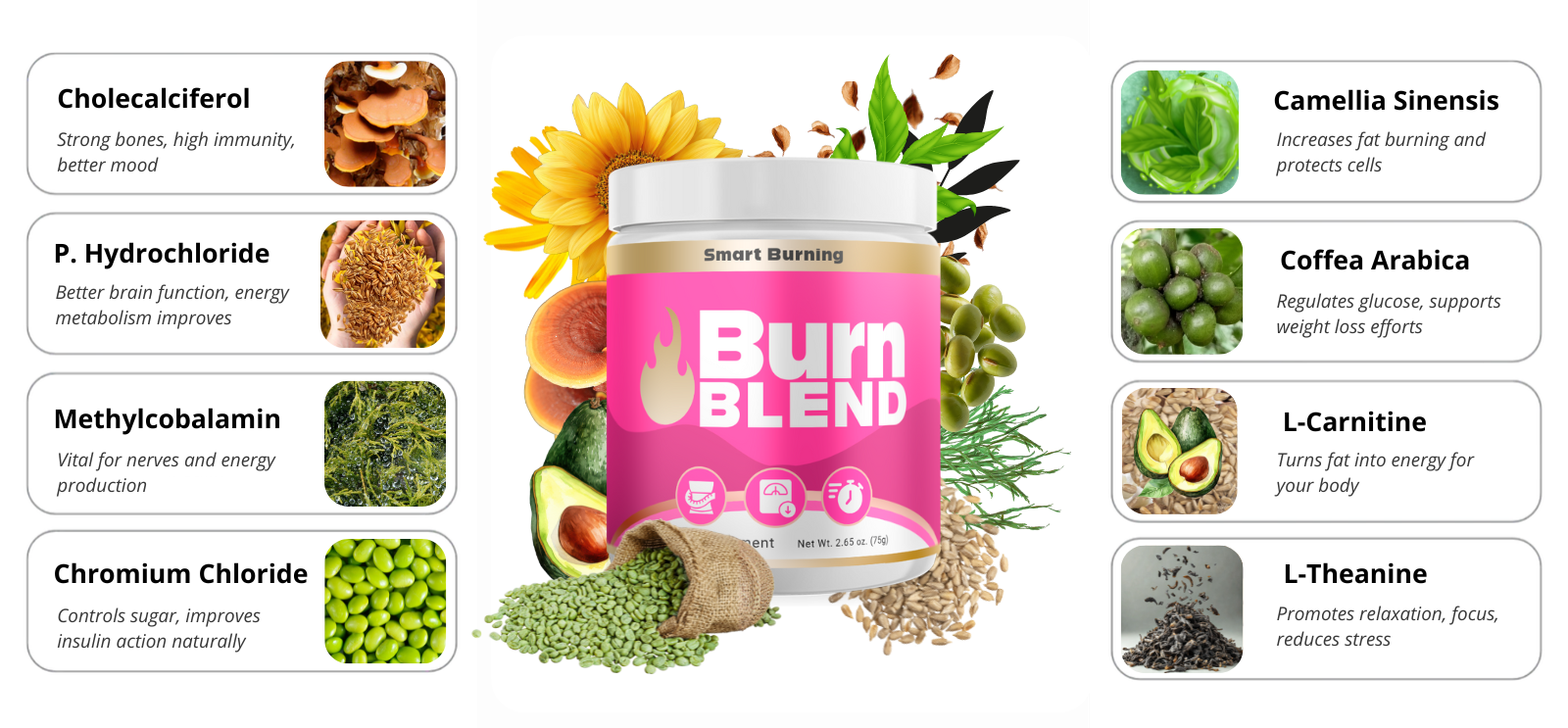 Burn Blend Review 2025: Does It Really Work for Weight Loss? 2 ingredients